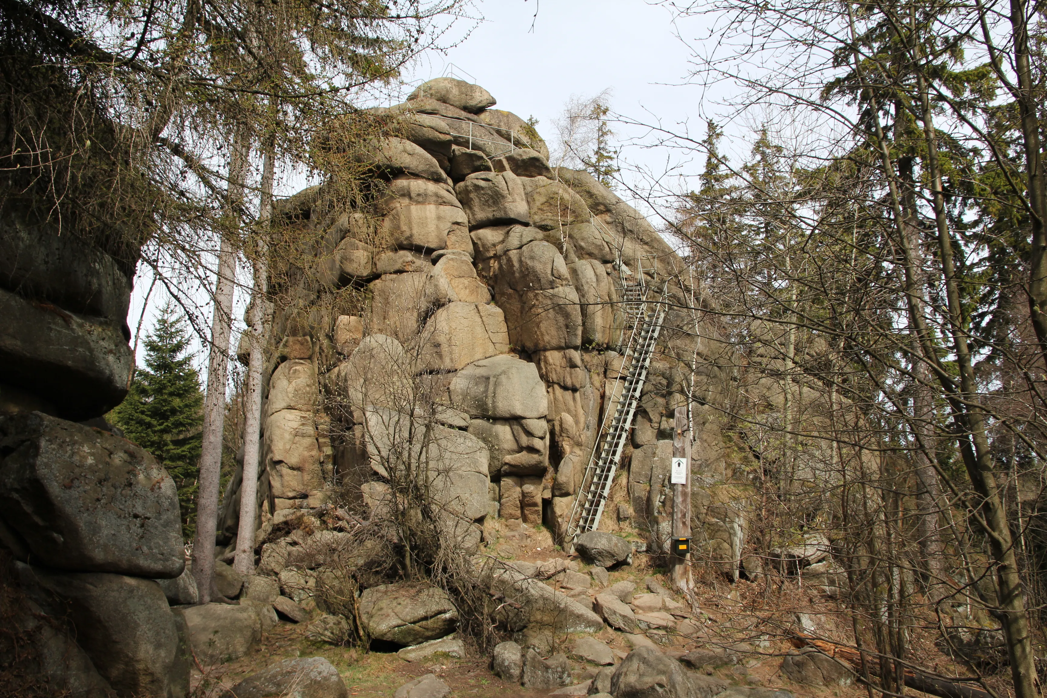 Rock formation with ladder in the forest