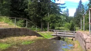 Wooden bridge over a small stream in the forest