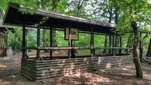 Covered wooden platform in the forest with information board
