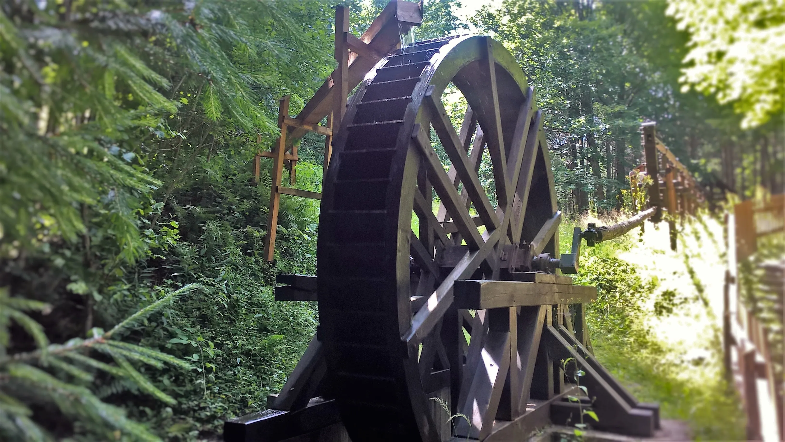 Old wooden waterwheel in the forest