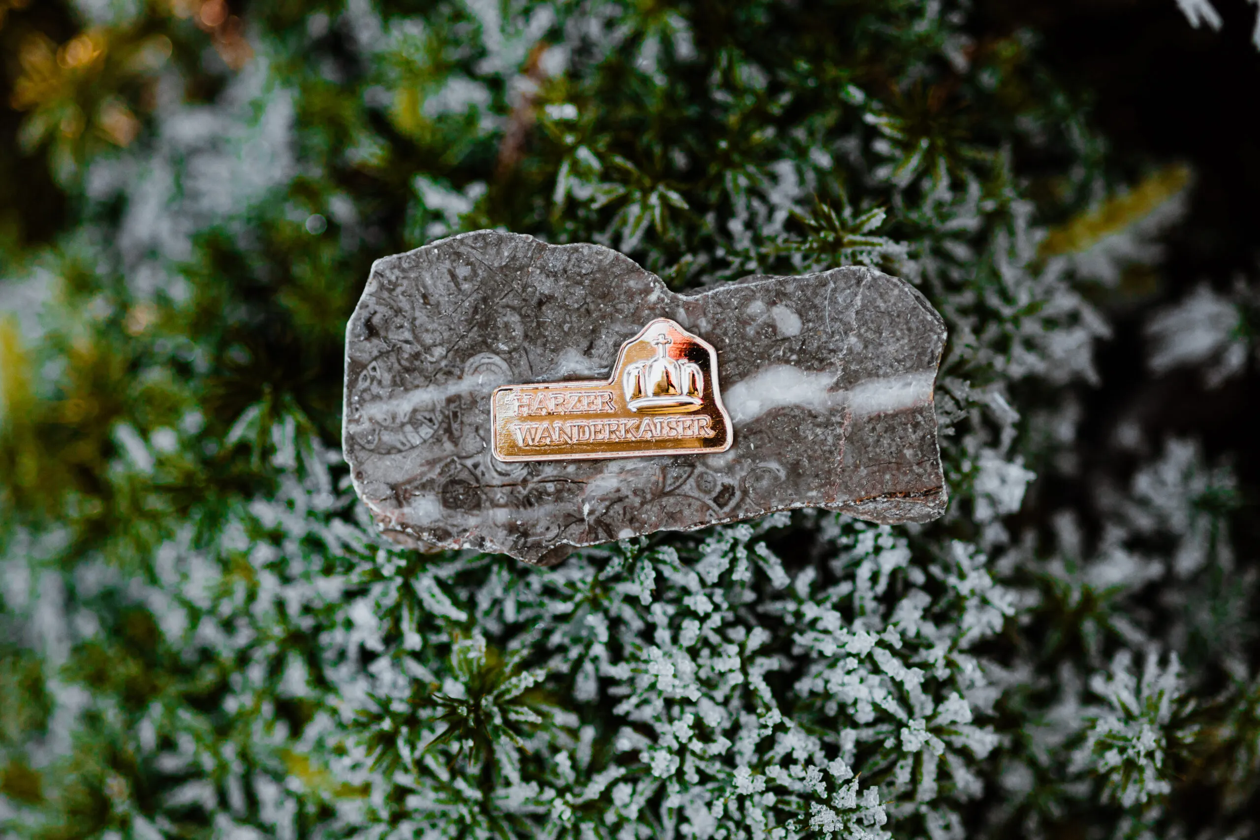 Rygsæk med farverige Harzen-vandernålsbadges