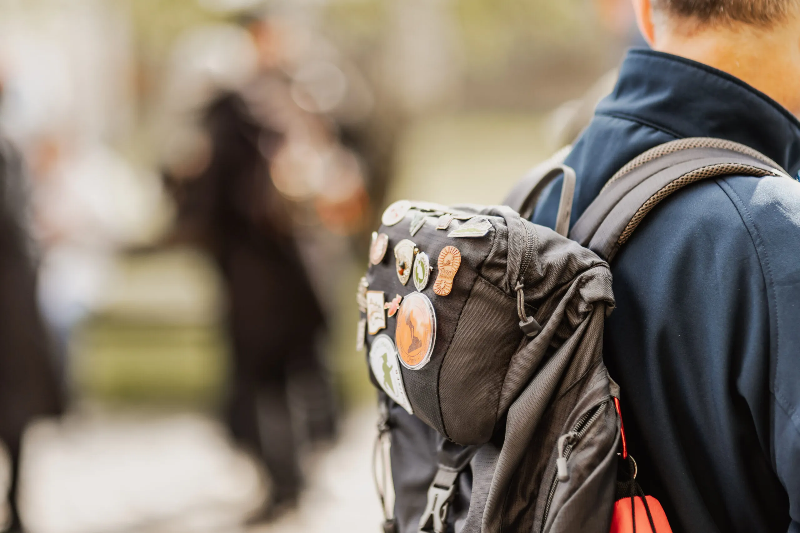 Rygsæk med farverige Harzen-vandernålsbadges