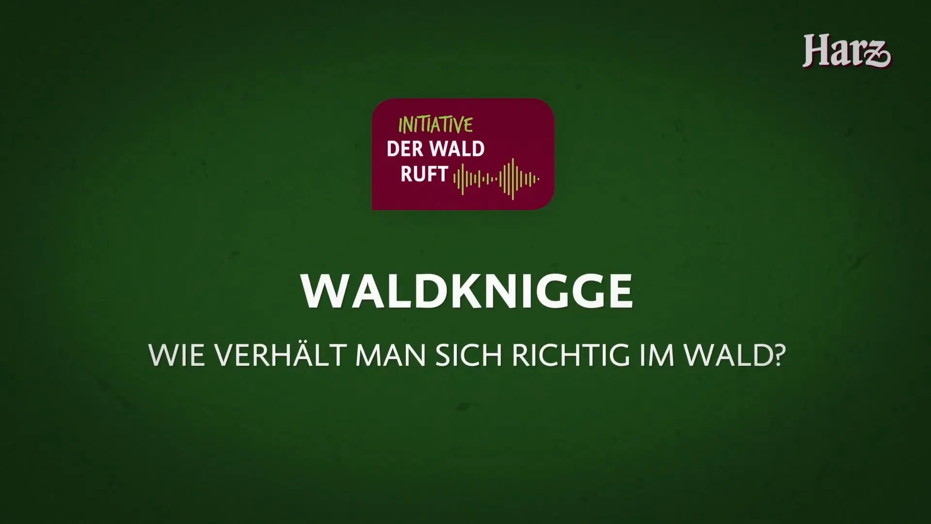 Waldknigge: Verhalten im Wald lernen
