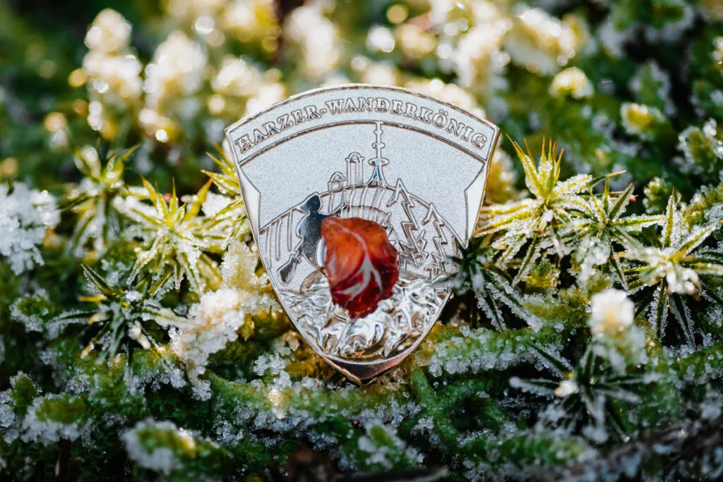 Harzer Wanderkönig badge in the frosty moss