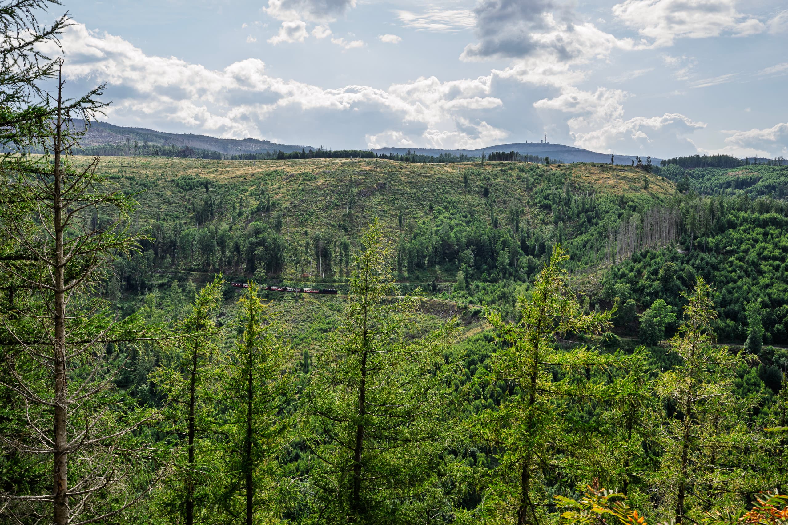 Stamp point 29 / Elversstein • Harzer Wandernadel