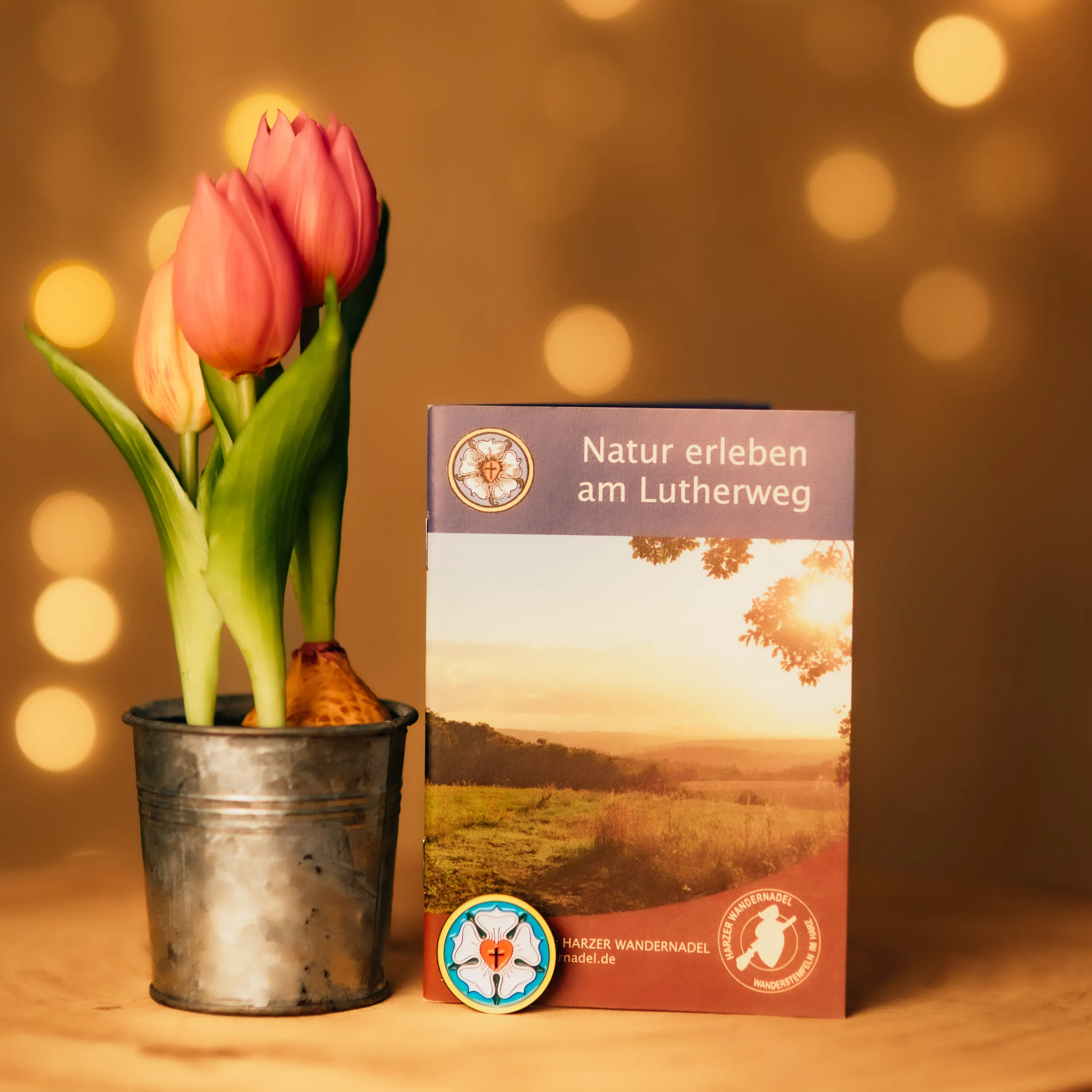 Tulipaner og flyers om Lutherstien på et træbord