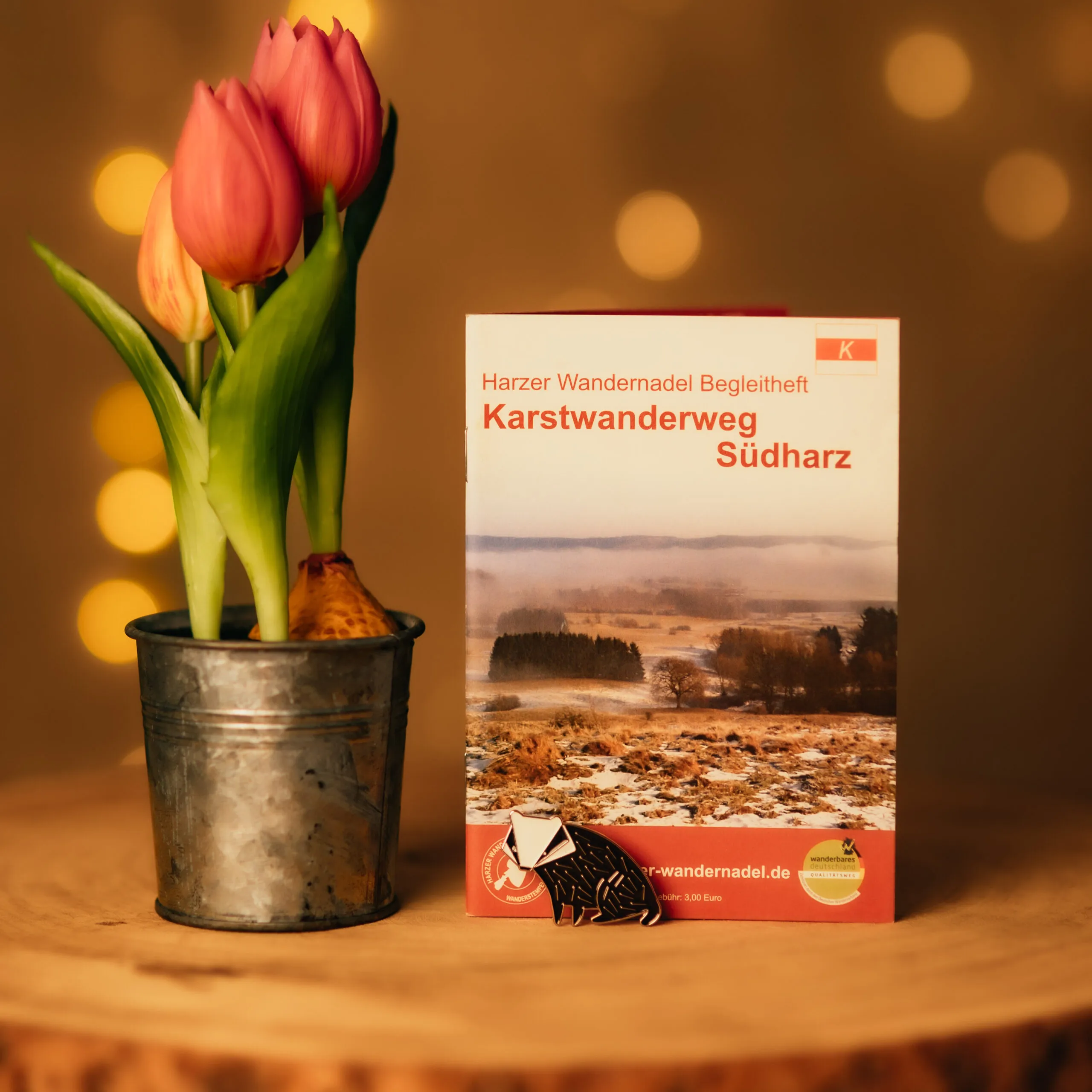 Tulipaner og vandrehæfte Karstwanderweg Südharz på bordet