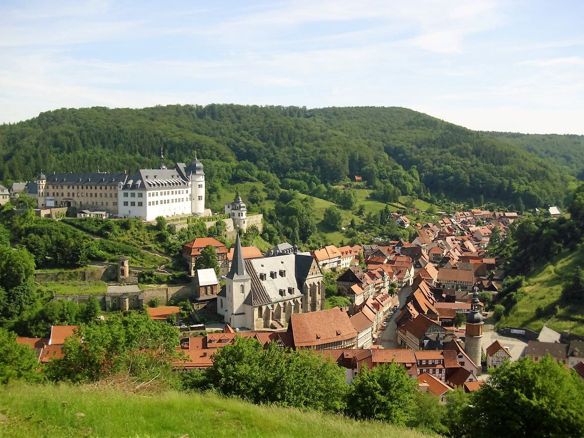 Stamp point 216 / Lutherbuche • Harzer Wandernadel